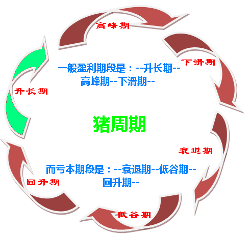 如何破解價格怪圈 化解“豬周期”風(fēng)險？