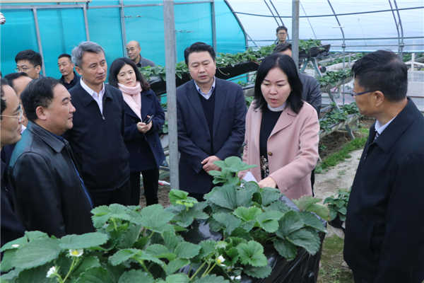 “質(zhì)量興農(nóng)萬里行”陜西站活動花落安康、走進漢濱、風起陽晨